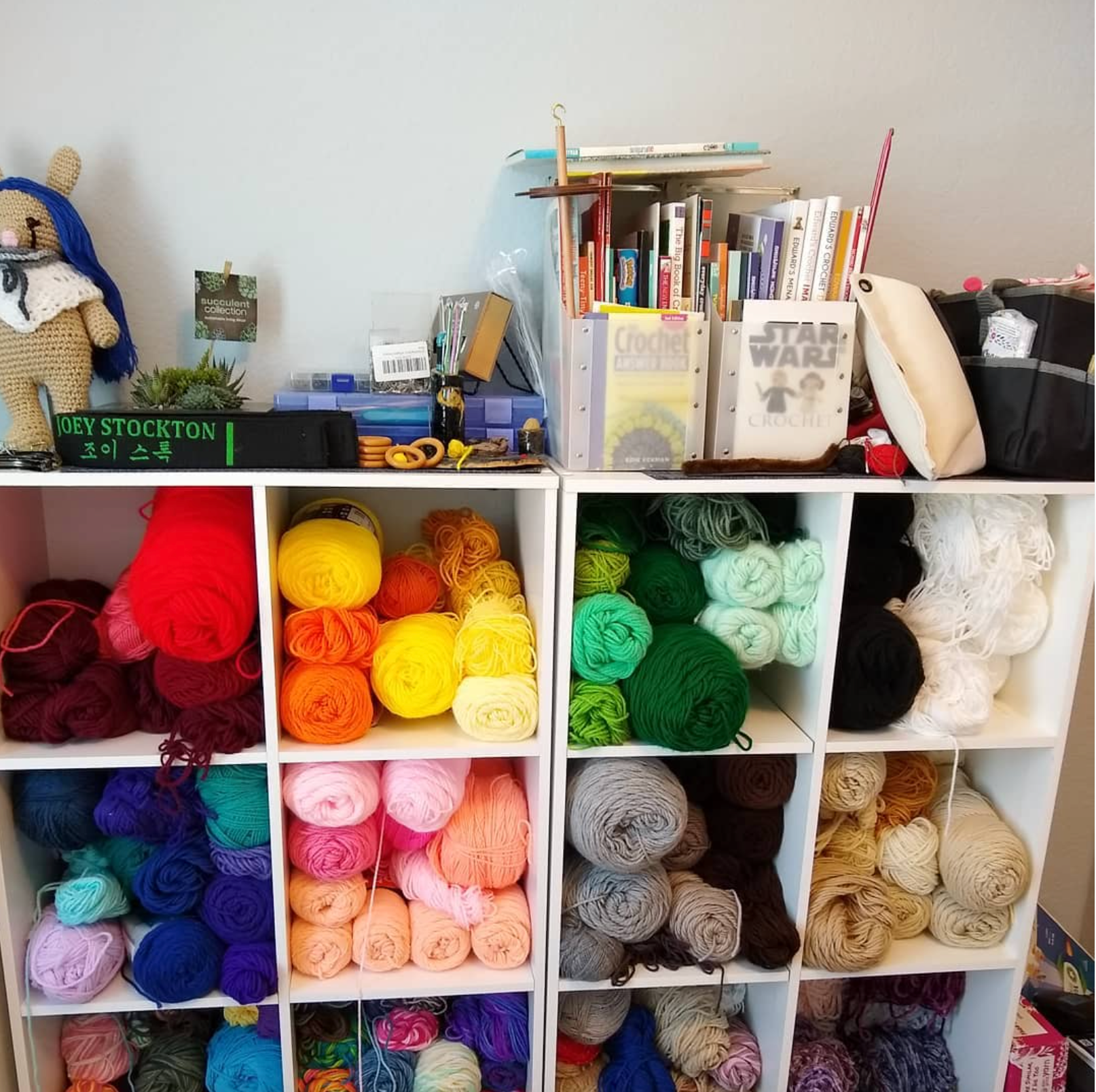 Joey’s rainbow-organized yarn shelf with crochet books and supplies